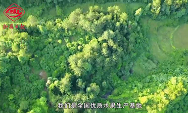 省校合作搭臺，臨汾蔬果端上高校餐桌